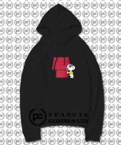 KAWS Uniqlo Peanuts Snoopy Doghouse