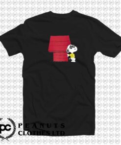 KAWS Uniqlo Peanuts Snoopy Doghouse b