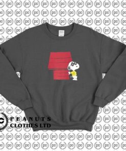 KAWS Uniqlo Peanuts Snoopy Doghouse l