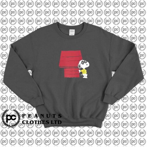 KAWS Uniqlo Peanuts Snoopy Doghouse l