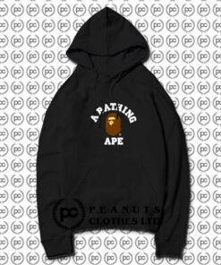 BAPE A Bathing Ape College