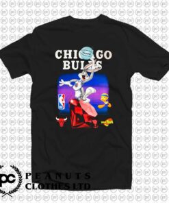 Chicago Bulls Diamond Supply NBA Space Jam y