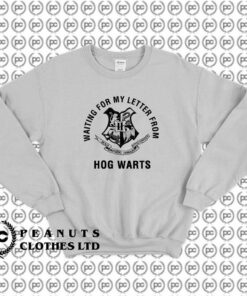 Hogwarts Harry Potter Vintage x