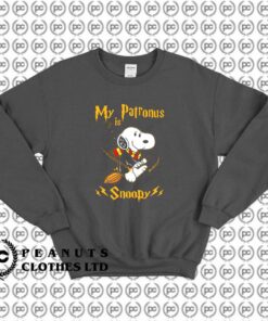 Snoopy Peanuts x Harry Potter f