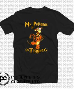 Tigger Winnie The Pooh x Harry Potter g