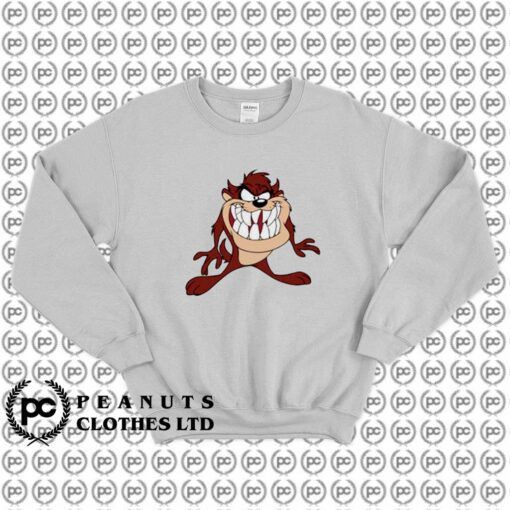 Taz Tazmania Looney Tunes Funny d