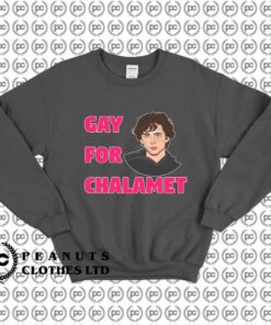 Gay For Chalamet Timothee Chalamet xc