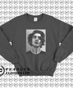 Timothee Chalamet Grieving Art l