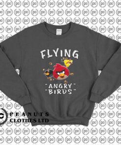 Funny Flying Angry Birds g