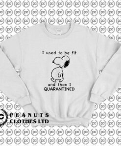 Snoopy then I Quarantine Meme g