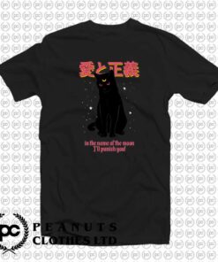 Sailor Moon Black Cat Anime