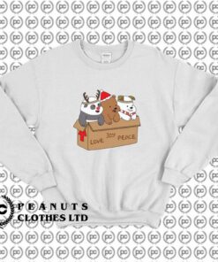 We Bare Bears Christmas Box k