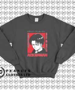 Attack On Titan Levi Character G