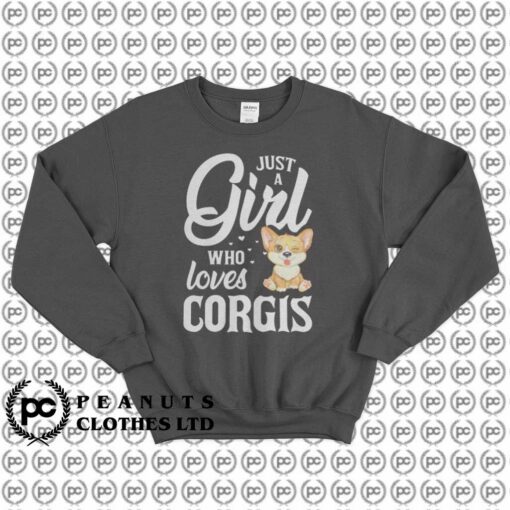 Just a Girl Who Loves Corgis1