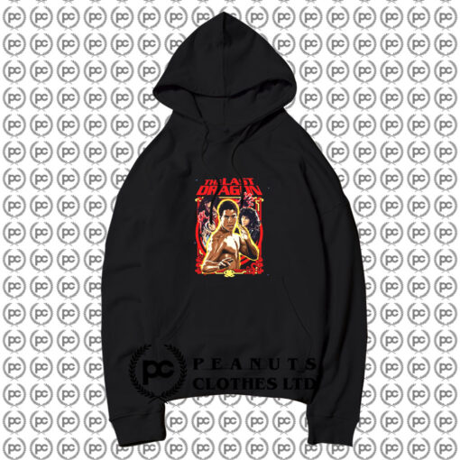 The Last Dragon Martial Arts Hoodie