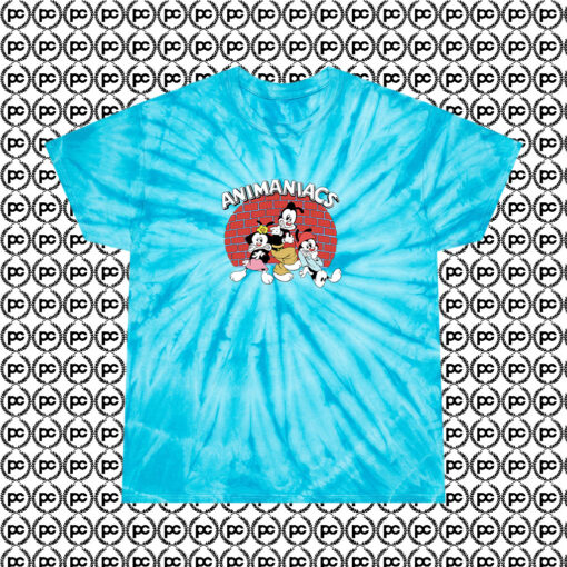 Animaniacs Wakko Yakko Dot In The Spotlight Cyclone Tie Dye T Shirt Turquoise