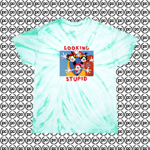 Happiness Looking Stupid Animaniacs Cute Cyclone Tie Dye T Shirt Mint