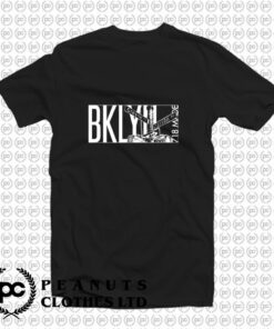 Brooklyn New York City BKLYN 718 T Shirt