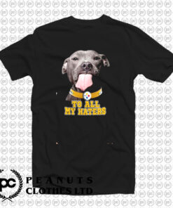 Pittsburgh Steelers To All My Haters T Shirt