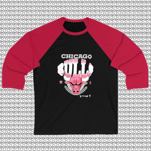 Chicago Bulls Graphic Single Stitch Raglan Tee