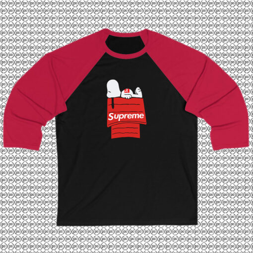 Snoopy X Supreme Raglan Tee