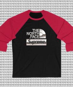 Supreme x The North Face Metallic Raglan Tee