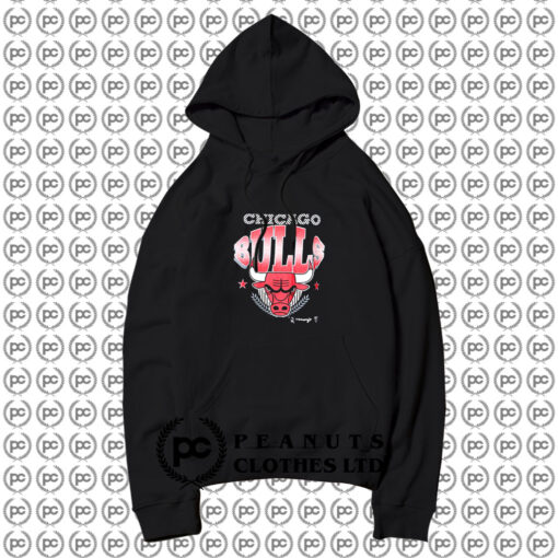 Chicago Bulls Graphic Single Stitch Hoodie