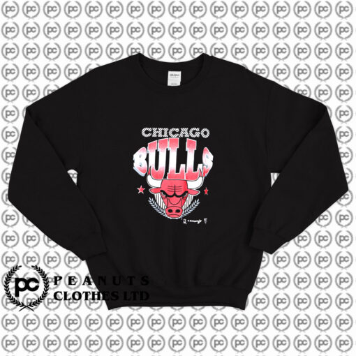 Chicago Bulls Graphic Single Stitch Sweatshirt