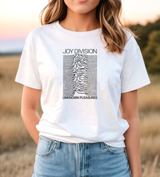 1980 Joy Division Vintage Rare Concert Tour T Shirt