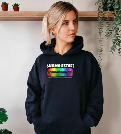 homo estas Hoodie