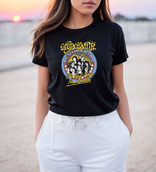 Album Bad Boys From Boston Aerosmith Vintage T Shirt